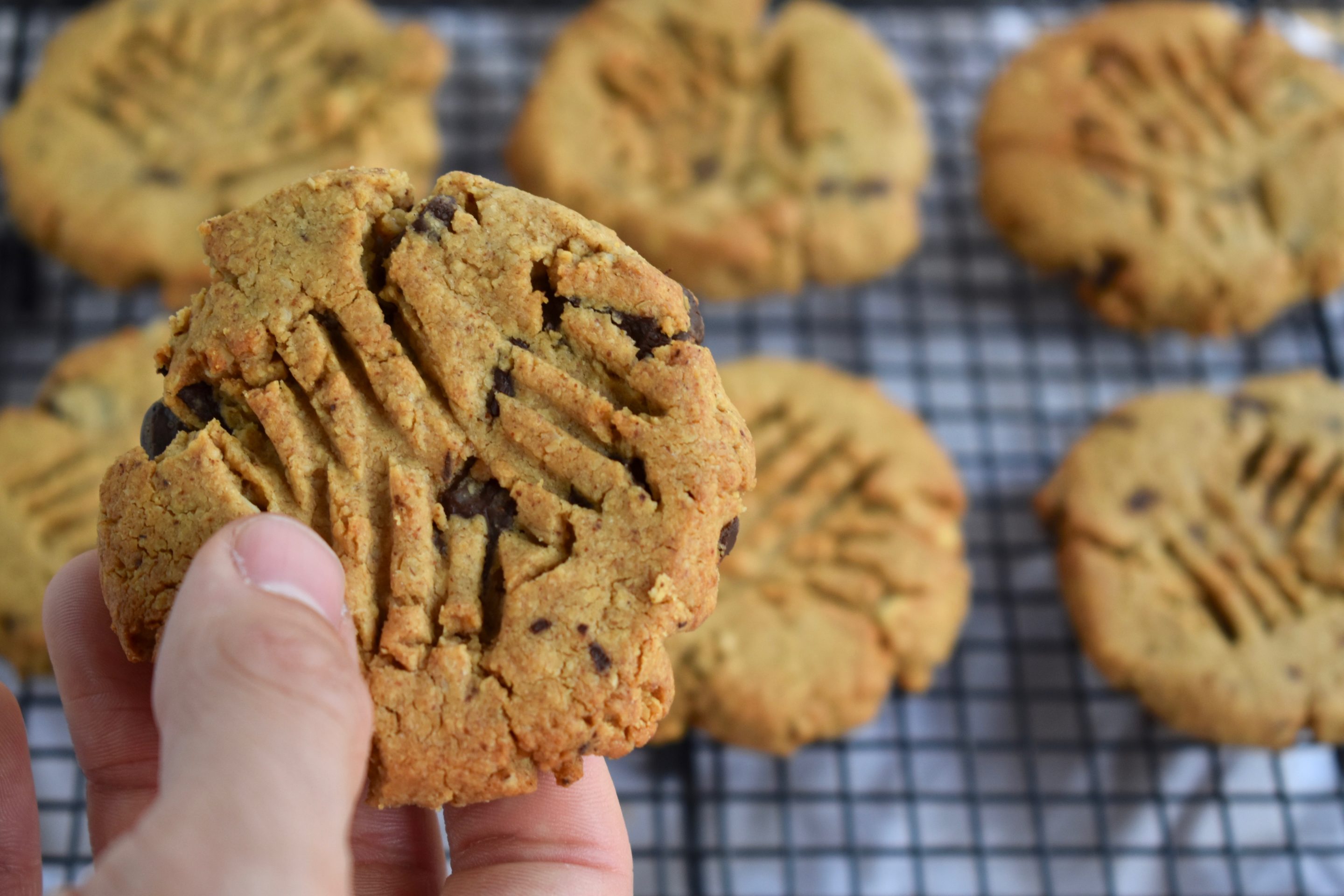 Peanut Butter and Oat Cookies