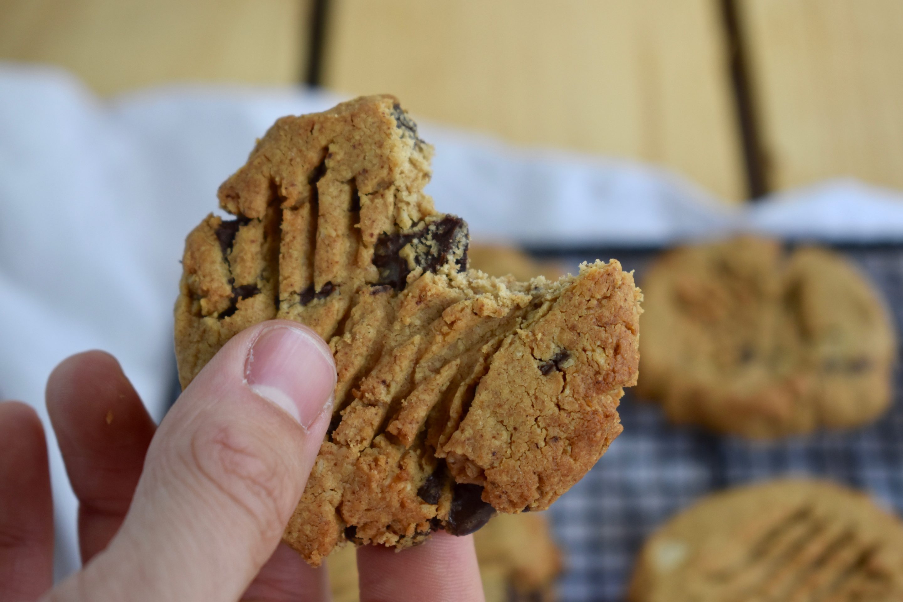 Peanut Butter and Oat Cookies