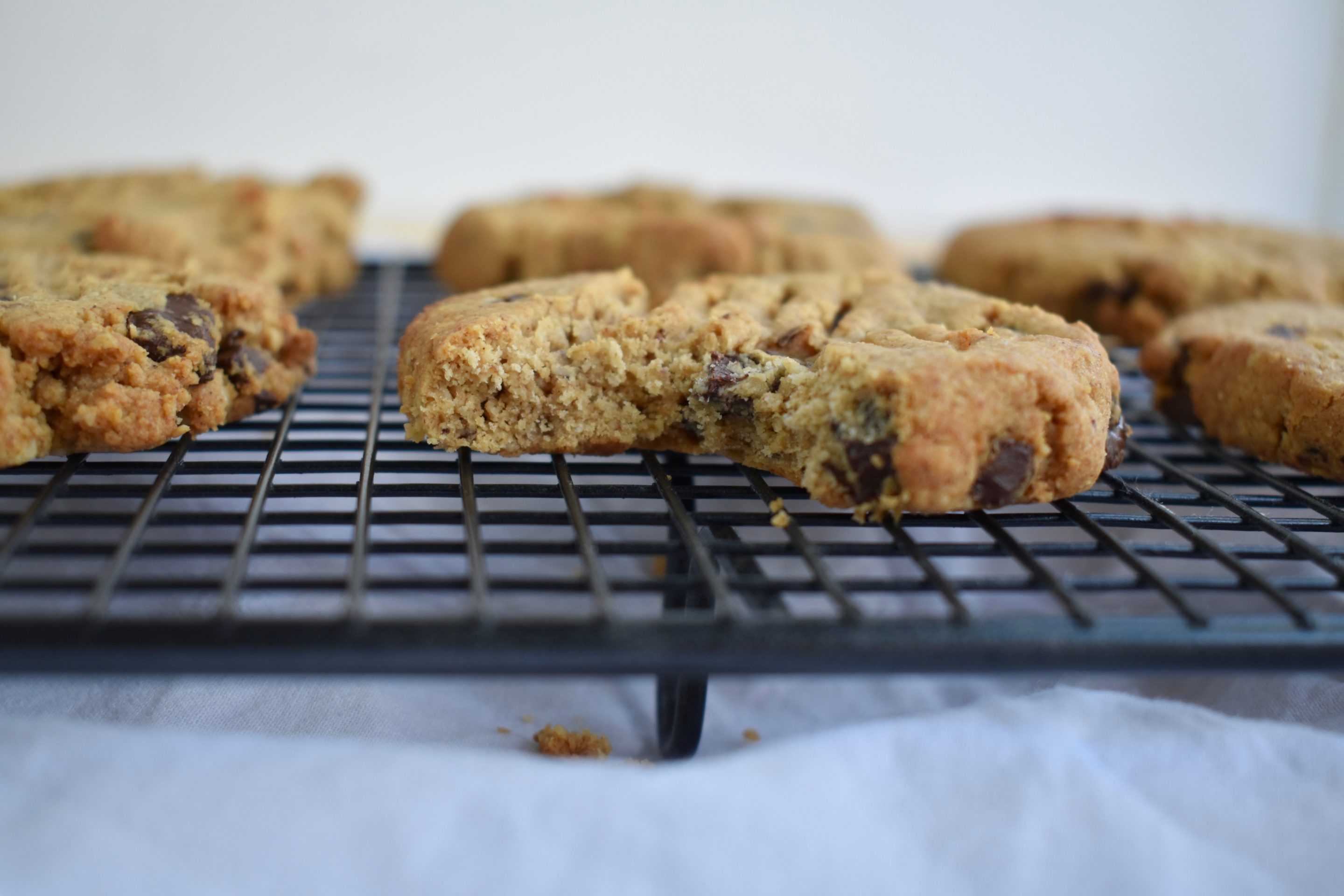Peanut Butter and Oat Cookies