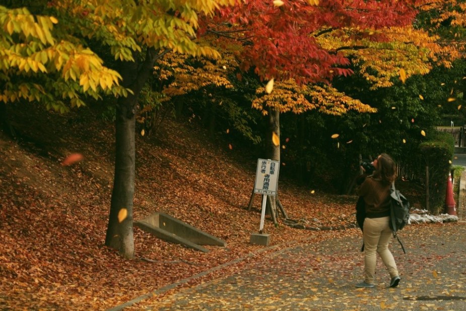 374401_10151142009317473_864359694_n