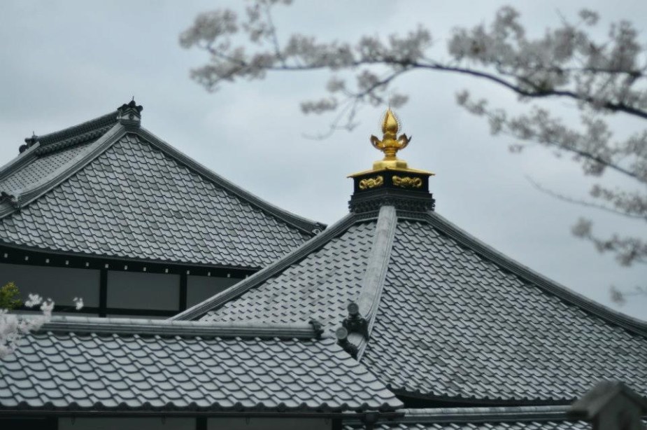 482161_10151382272502473_492415148_n