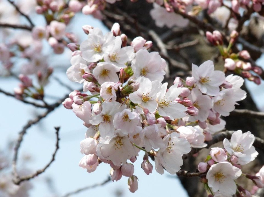 541216_10150816823910522_542216329_n