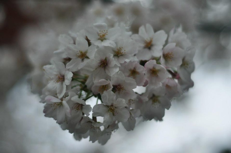 553813_10151382272602473_642436190_n