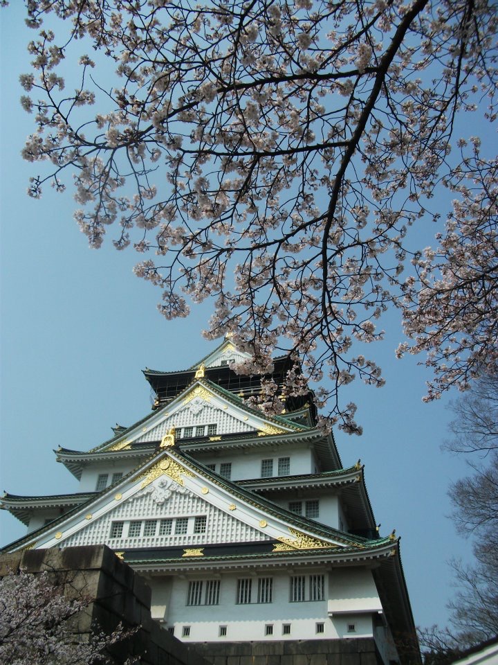 554289_329877780400163_2061423345_n