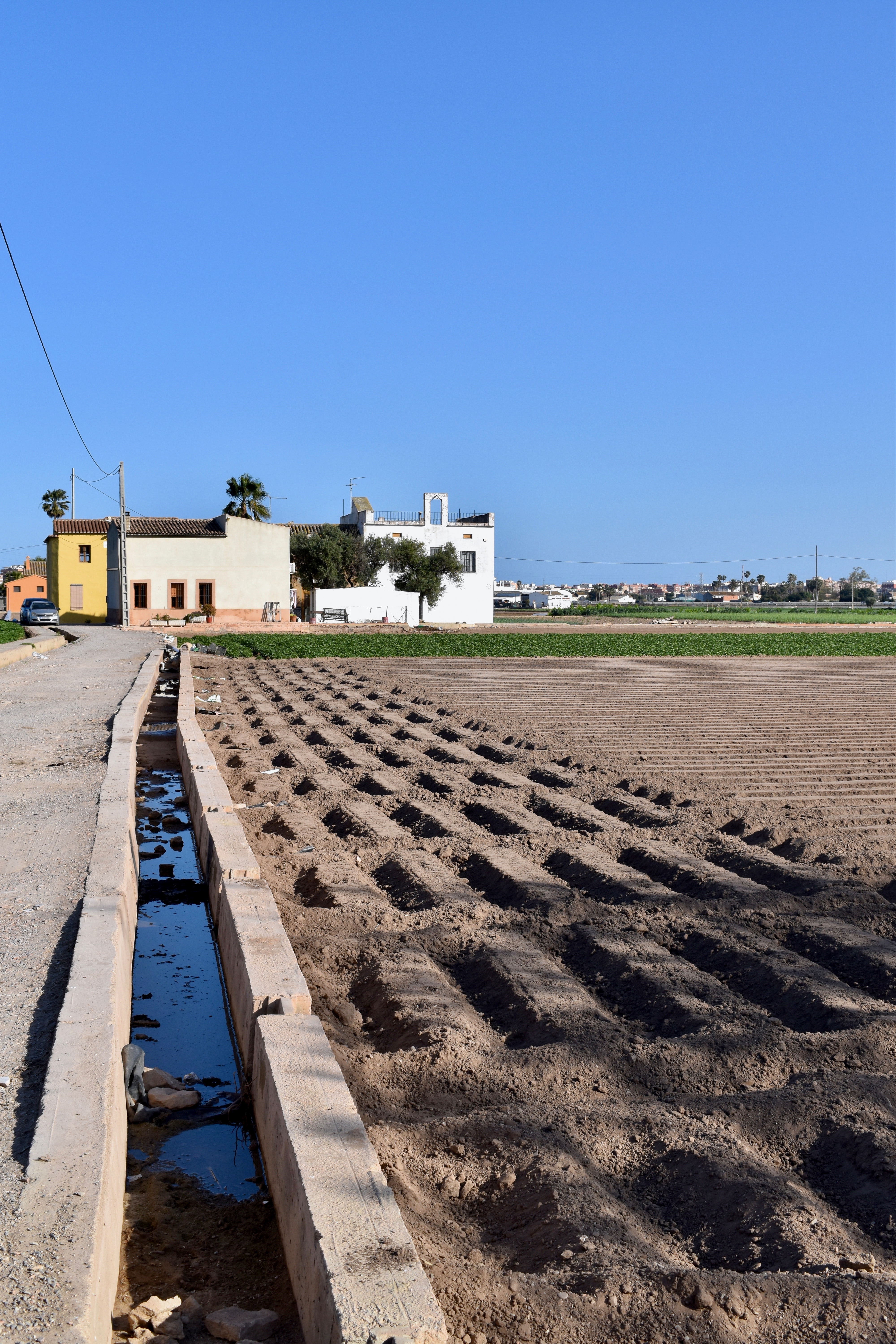 Fields in the countryside 