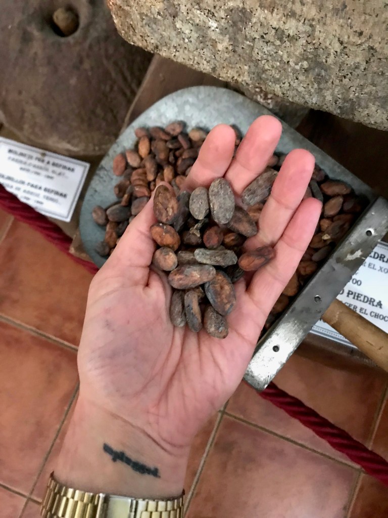 Cocoa beans on hand 