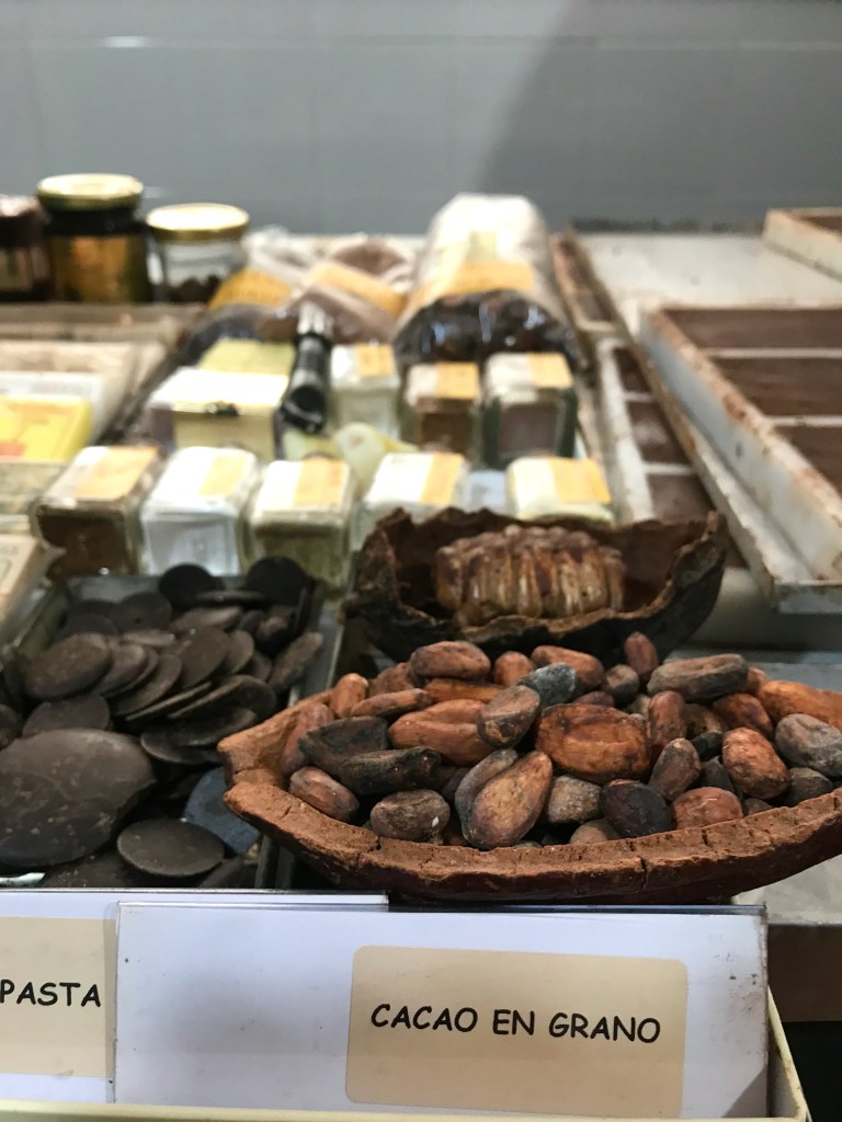 Cocoa beans and chocolate in chocolate factory 