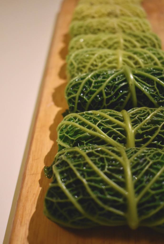 Cabbage rolls in different shades of green 