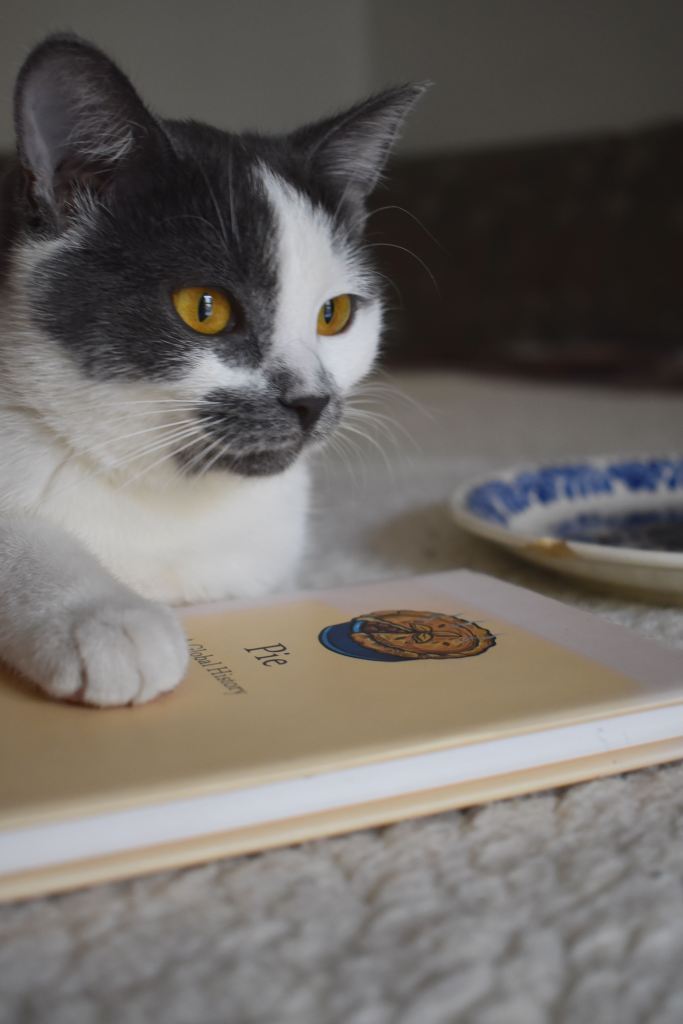 Grey and white cat with yellow eyes laying on a book