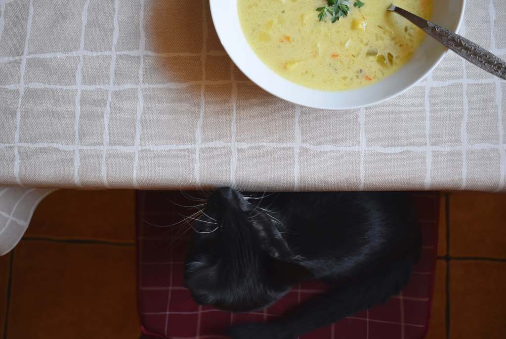 A plate of soup on a kitchen table and a black cat on a chair 