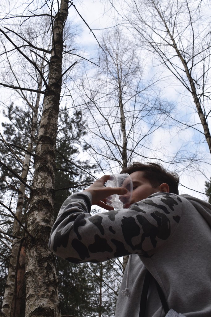 Man drinking birch tree juice in the forest 